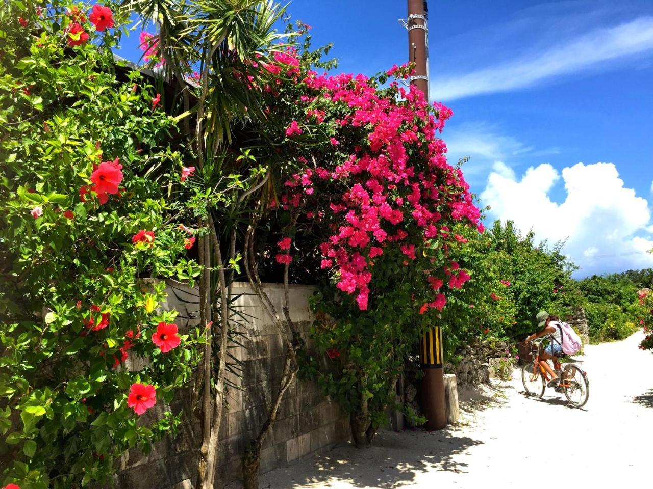 Guesthouse Ho Aloha Ishigaki  Exterior photo
